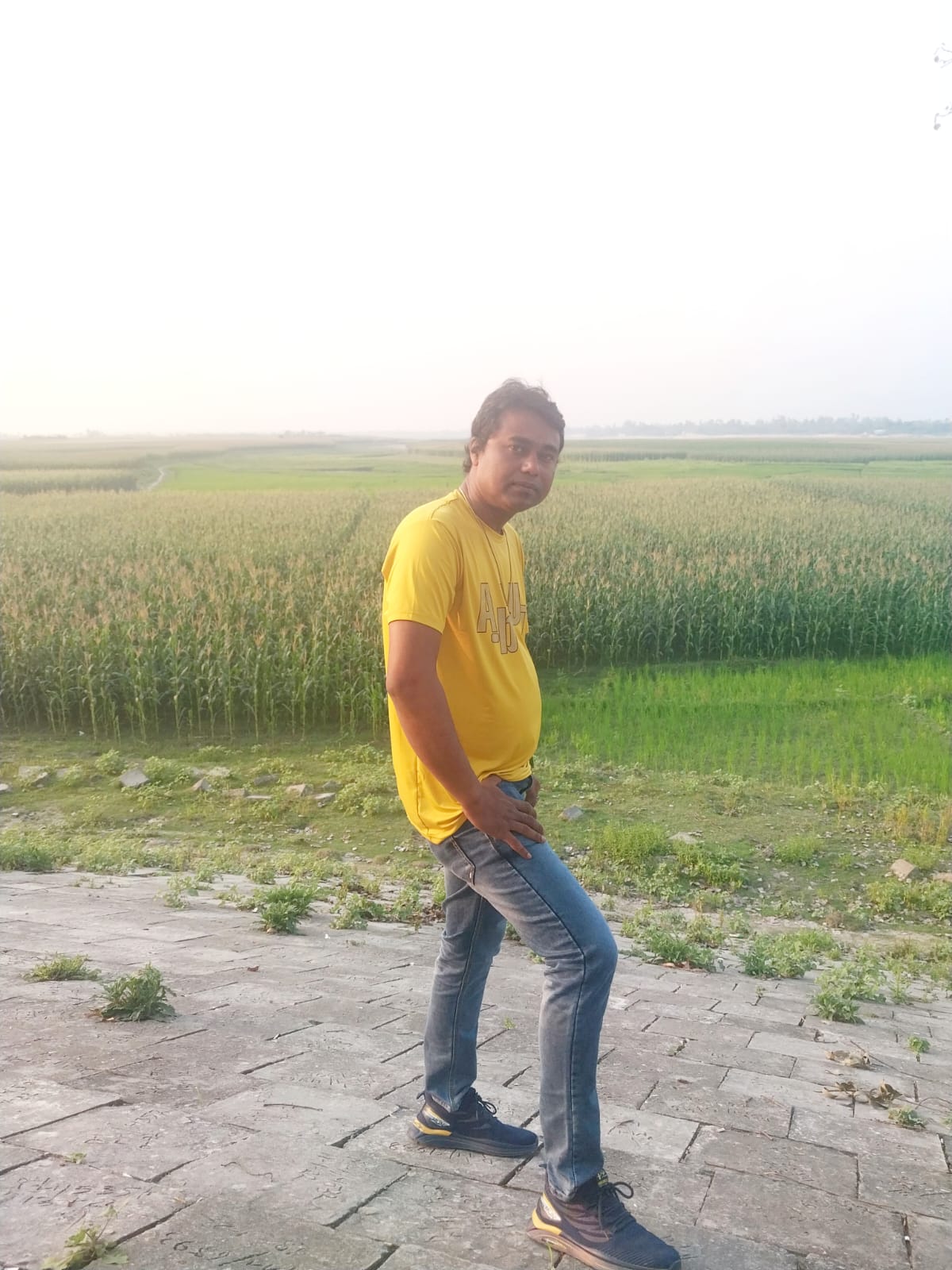 মেহেদী হাসান